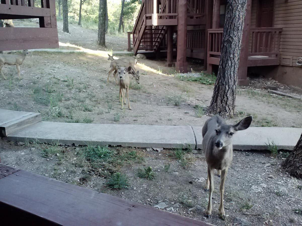 Tiara Del Sol Aparthotel Ruidoso Bagian luar foto